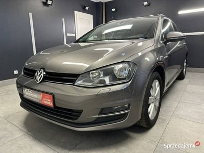 używany VW Golf VII Golf VW1.6 TDI CUP Panorama dach Navi …