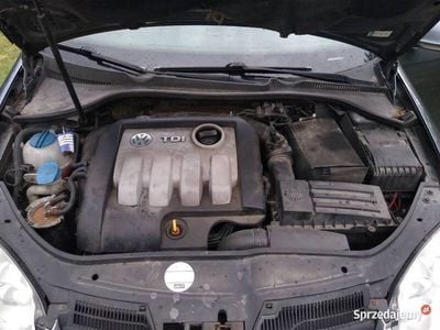 używany VW Jetta A5 1.9 TDI 105KM