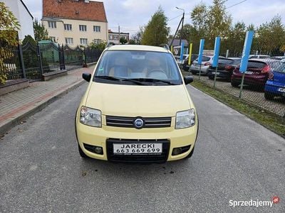 Inny kolor Używany 2006 Fiat Panda 4x4 Hatchback | 16 999 zł