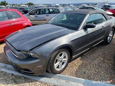 Szary Używany 2014 Ford Mustang Kabriolet | 48 200 zł