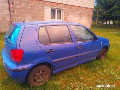 VW Polo