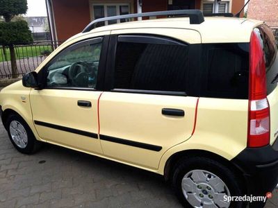 używany Fiat Panda 1,1 #Polski salon#