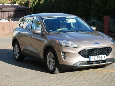 Żółtozłoty Używany 2019 Ford Escape SUV | 61 999 zł