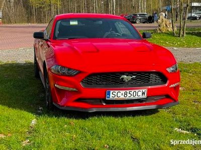 używany Ford Mustang 2019 r 2,3 Eco Boost SUPER STAN