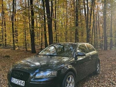 Używany 2004 Audi A3 | 5500 zł (Dobra cena)