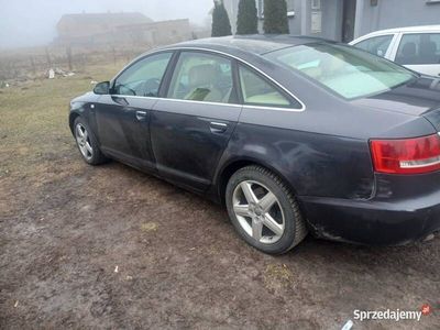 Używany 2004 Audi A6 | 8000 zł