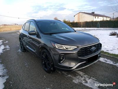 Używany 2023 Ford Escape ST-Line SUV | 115 000 zł