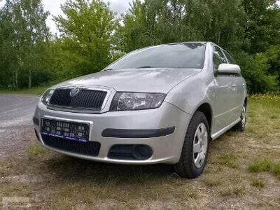 Używany Skoda Fabia 54 KM (39 kW) 2007 Szary Hatchback