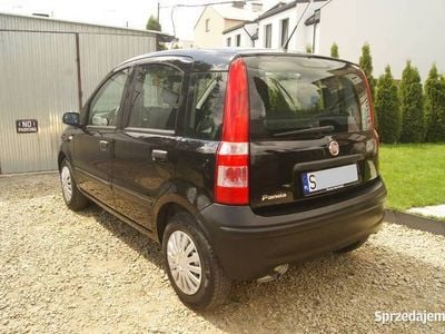 Używany Fiat Panda 54 KM (39 kW) 2009 Hatchback