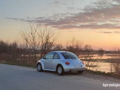 używany VW Beetle 