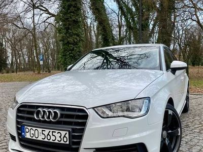 używany Audi A3 1.6TDI