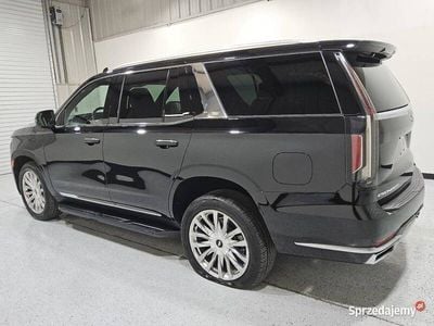 Używany 2023 Cadillac Escalade SUV | 230 000 zł