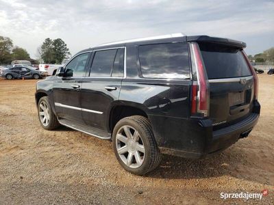 używany Cadillac Escalade 