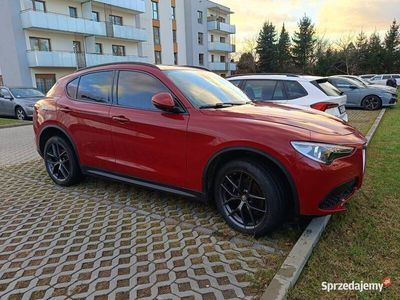 używany Alfa Romeo Stelvio 