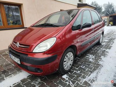 Używany 2005 Citroën Xsara | 3300 zł