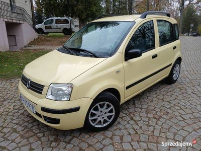 Używany Fiat Panda 60 KM (44 kW) 2008 Hatchback