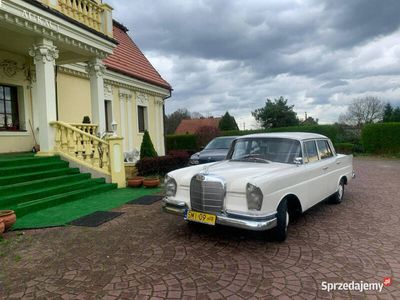 używany Mercedes W111 W110 Klasa S // 220S / Zabytek! 200/200D/230…