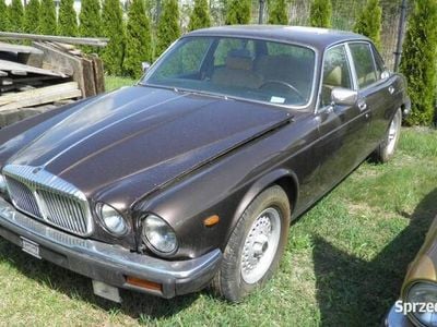 Używany 1984 Jaguar XJ12 Sedan/Limuzyna | 1234 zł