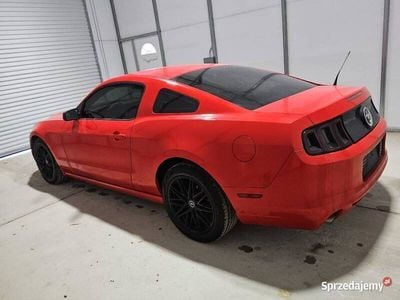 Używany Ford Mustang 305 KM (224 kW) 2013