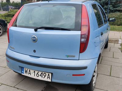 używany Fiat Punto 