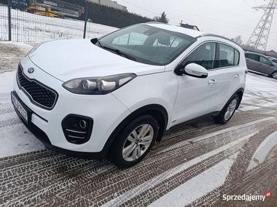 Używany Kia Sportage 2016 Biały SUV