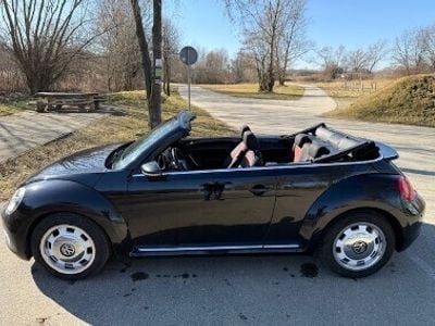VW Beetle