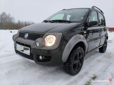 Używany Fiat Panda Cross Cross 2006 Zielony Hatchback