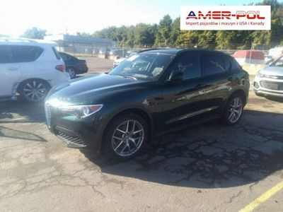 Używany Alfa Romeo Stelvio Ti 280 KM (205 kW) 2019 Zielony SUV