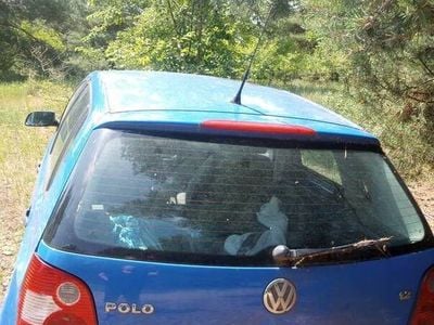 VW Polo