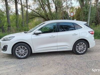 Biały Używany 2020 Ford Kuga Vignale SUV | 85 860 zł (Drogi)