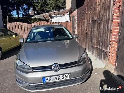 VW Golf VII