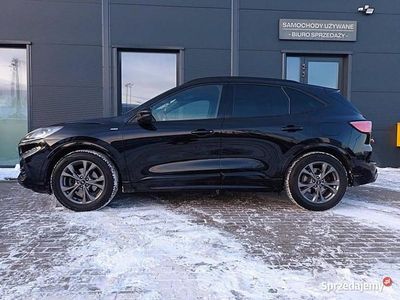 używany Ford Kuga 2020r. SalonPL * I-szy wł. * LED * BLIS * El.Fotel * Winter * K…