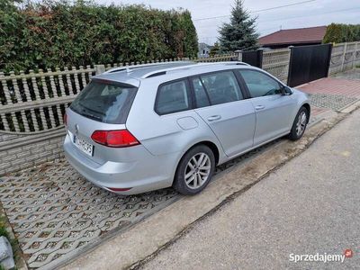 używany VW Golf VII Golf 7 1,6 TDI1,6 TDI