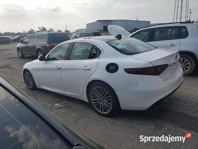 Używany 2017 Alfa Romeo Giulia | 51 000 zł