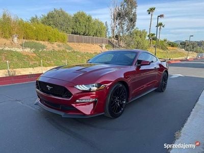 Używany Ford Mustang GT 2019
