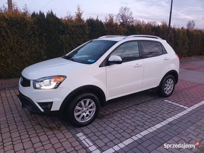 używany Ssangyong Korando 