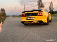 Używany Ford Mustang 2016