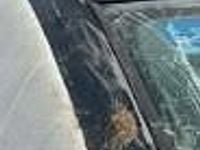 używany Ford Mondeo VII 2.0 TDCi MR`10 E5