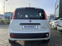 używany Fiat Panda MY25 Pandina Icon 1.0 70 KM