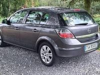 Obraz 3