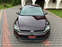 Obraz 3
