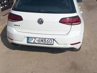Obraz 3