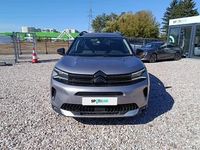 Obraz 2