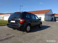 Obraz 3