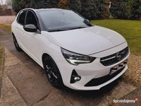 Obraz 3