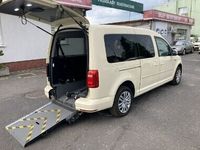 Obraz 1