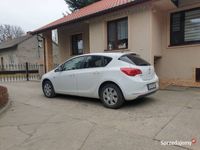 Obraz 3