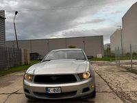 Obraz 1