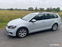 używany VW Golf VII Variant FL Tredline 1.6