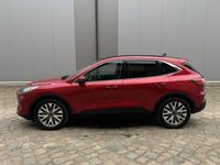 Używany Ford Kuga Titanium 197 KM (144 kW) 2020 Bordowy SUV